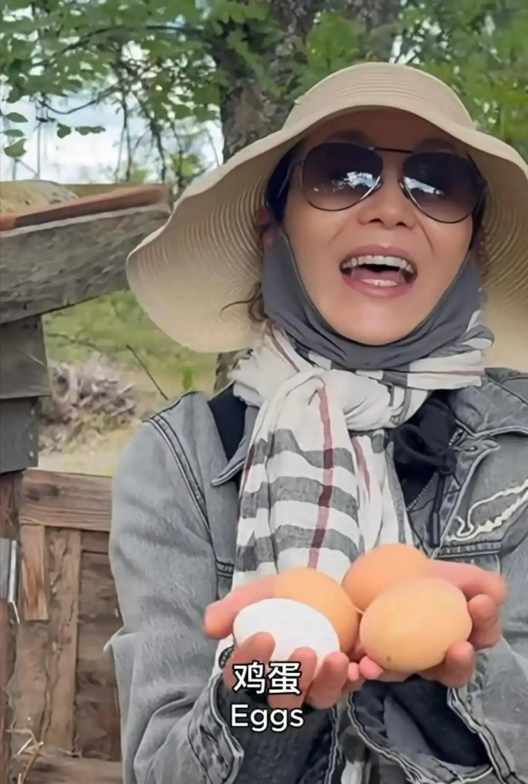 张曼玉分享法国农村生活日常:养鸡种地 捡鸡蛋